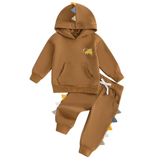 Baby Boy 2Pcs Fall Outfits Long Sleeve Dinosaur Print Pocket Hoodie Pants Set Toddler Clothes