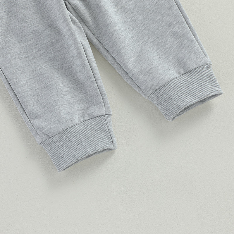 Pudcoco Newborn Baby Boy 2 Piece Outfits Solid Color Long Sleeve Sweatshirt and Elastic Pants for Toddler Fall Tracksuit 0-3T