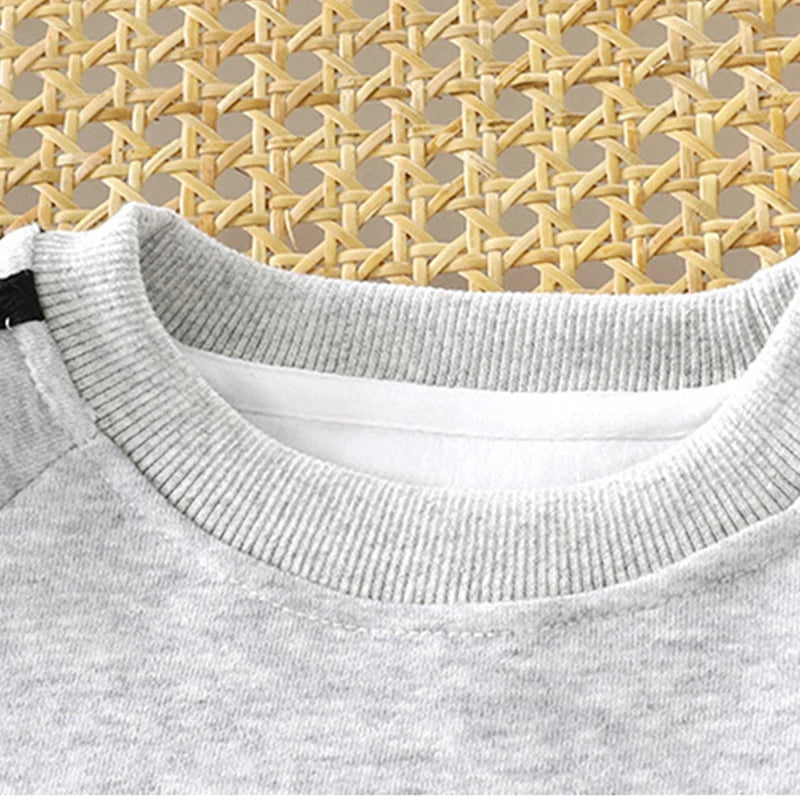 1 Set Spring Autumn Childrens Sport Suit Kids Casual Top And Pant Girl Boy Clothes Coat+Pants Baby Comfort Fashion Clothing Set