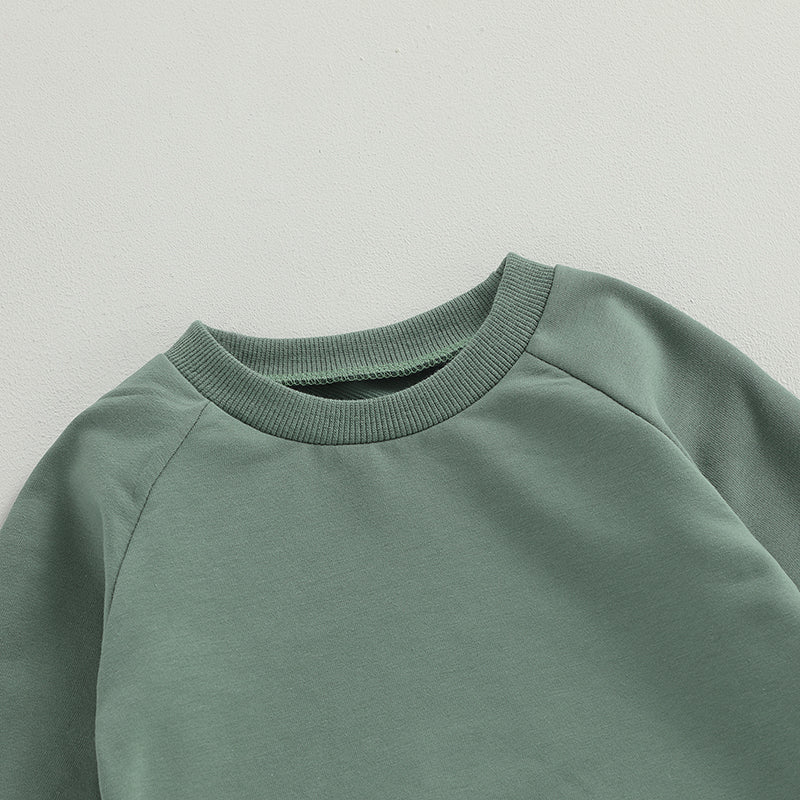 Pudcoco Newborn Baby Boy 2 Piece Outfits Solid Color Long Sleeve Sweatshirt and Elastic Pants for Toddler Fall Tracksuit 0-3T