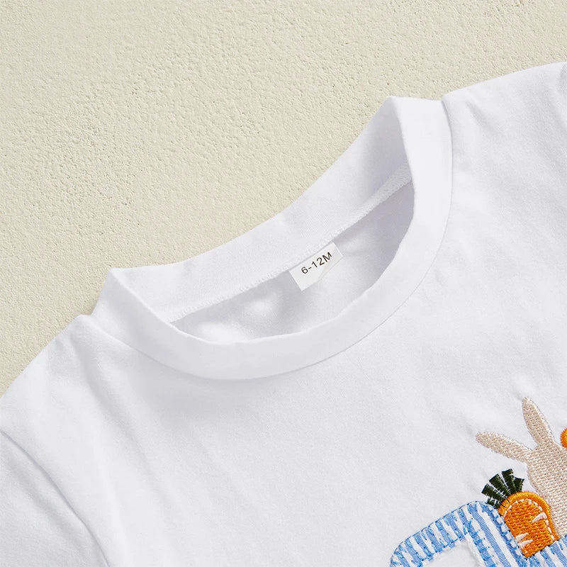 2Pcs Baby Boy Easter Outfits Short Sleeve Truck Embroidery T-Shirt Shorts Set Toddler Clothes