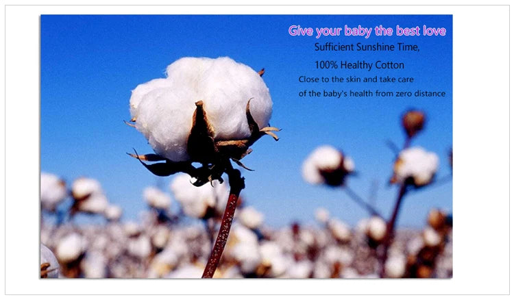 New Summer Kids Set Anna Elsa Set Cartoon Pajamas Baby Girl Clothes Ice and Snow Queen Home Wear Childrens Sets