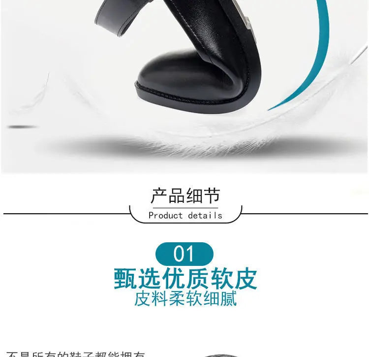 Women's Single Shoes 2025 Summer Breathable Women Pumps Coarse Heel Soft Bottom Work Shoes Casual Comfortable Black Heels Shoes