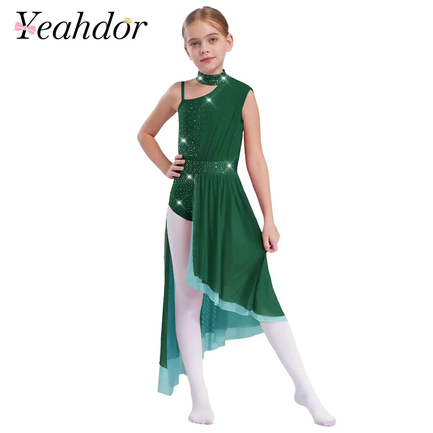 Kids Dance Dress for Girls Modern Contemporary Ballet Skirted Leotard Dress Lyrical Dance Costume Stage Ballerina Dancewear