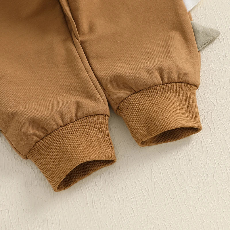 Baby Boy 2Pcs Fall Outfits Long Sleeve Dinosaur Print Pocket Hoodie Pants Set Toddler Clothes