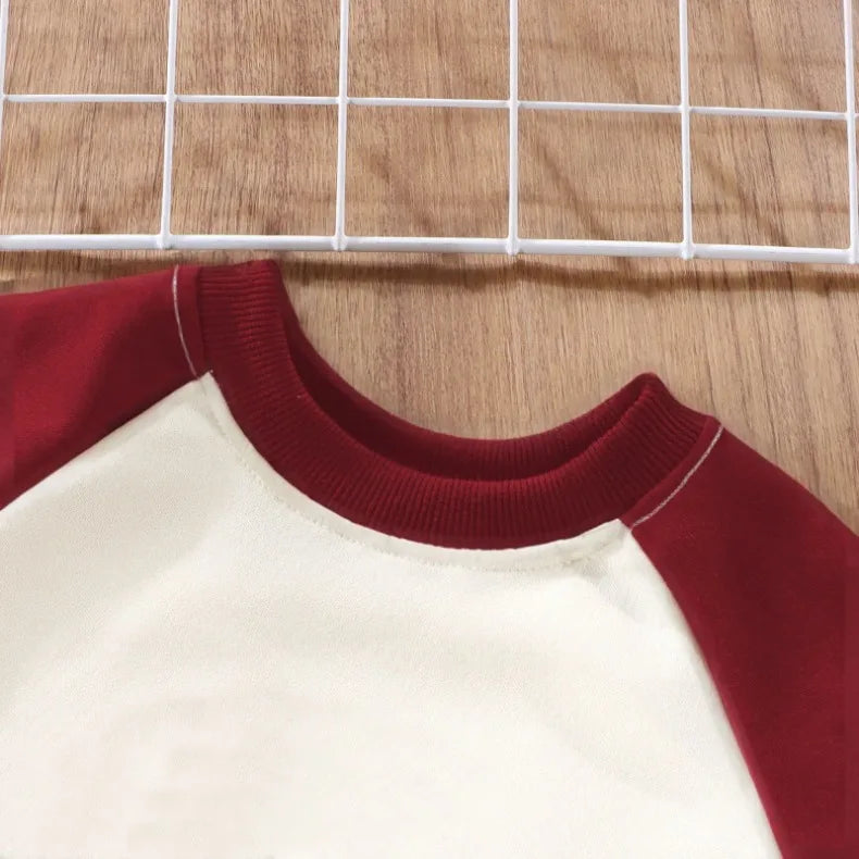 PAW Patro Print Kids Sport Clothes Sets Spring Fall Boys Spliced Sweatshirt 2-piece Suit Kids O Neck Hoodies  Trousers 2pcs Set